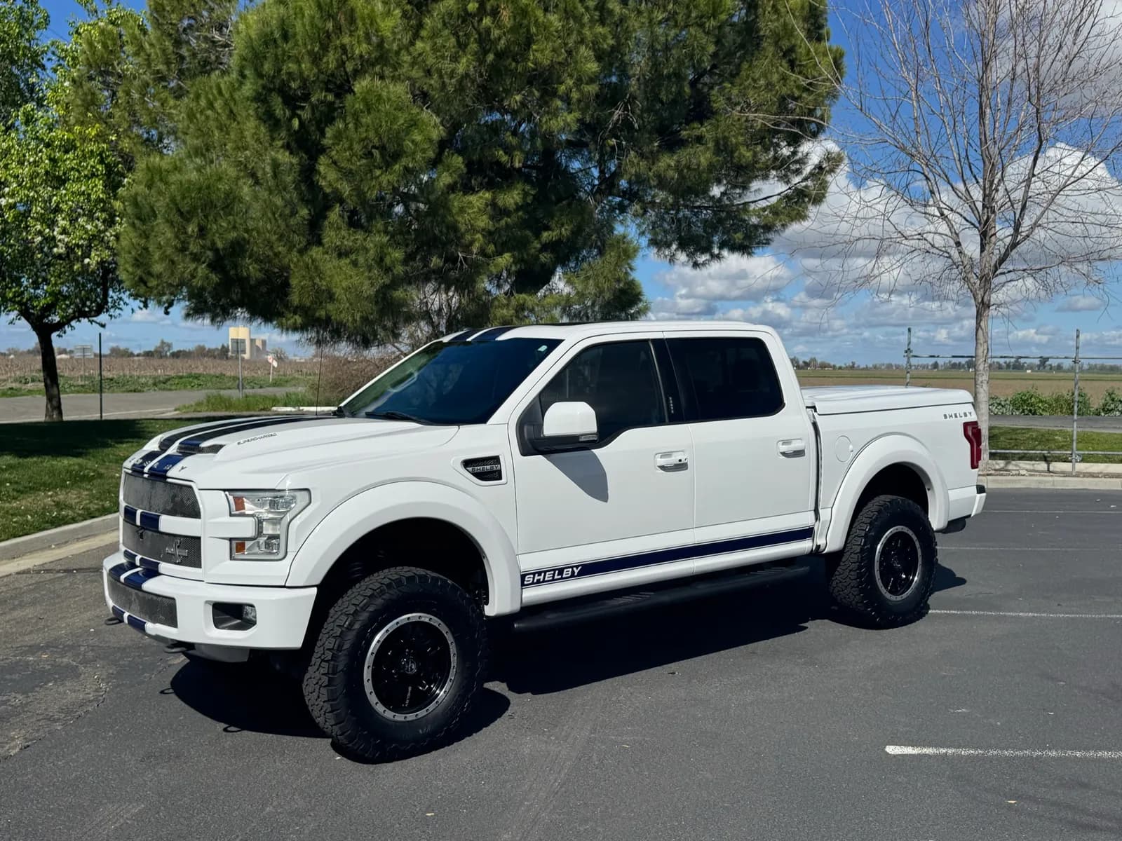 2016-ford-f150-shelby-mq9ju351