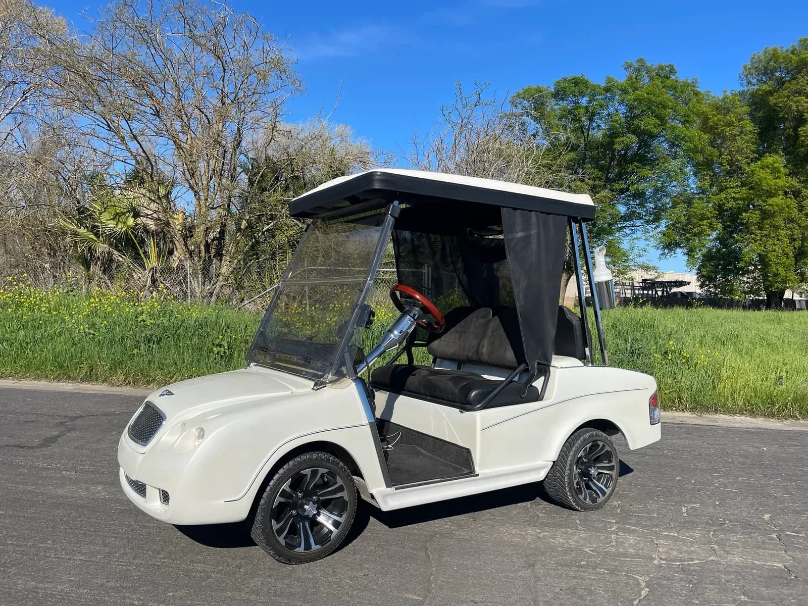 luxe-electric-golf-cart-mq9jyiv6